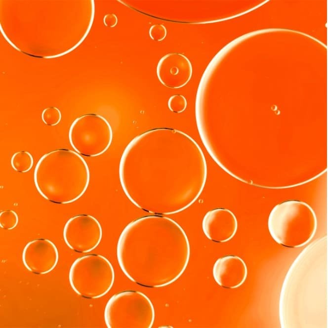 Netlock technology ingredient