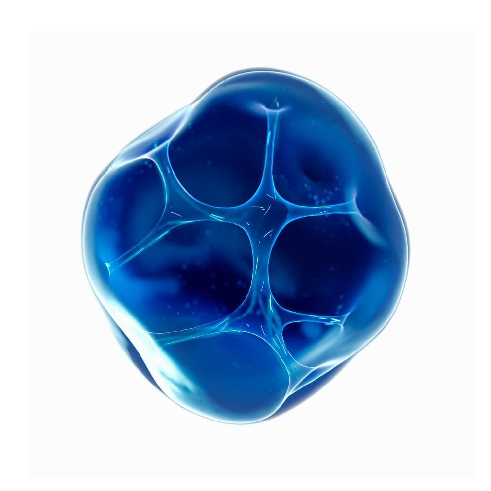 lrp productpage ingredient neurosensine1