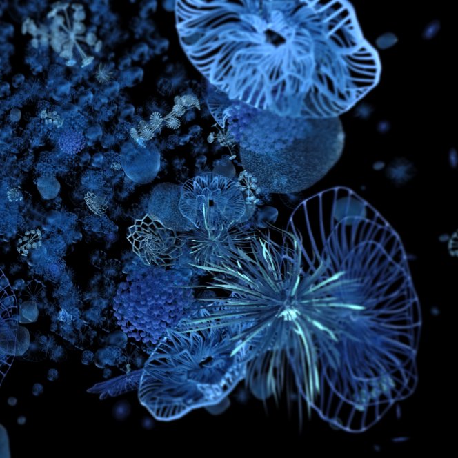 lrp productpage ingredient shingobioma